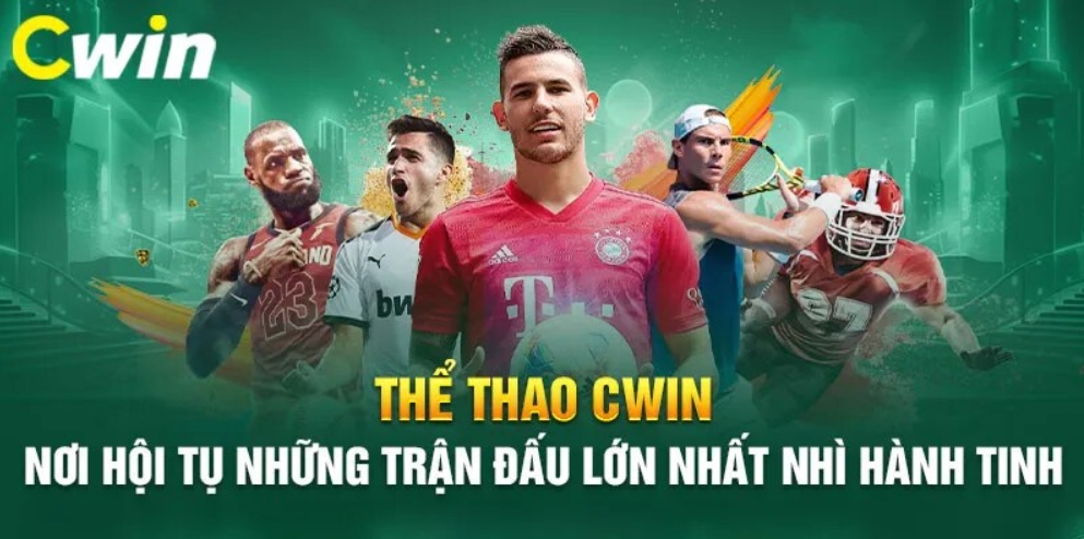 Lưu ý khi truy cập và chơi cá cược thể thao cwin